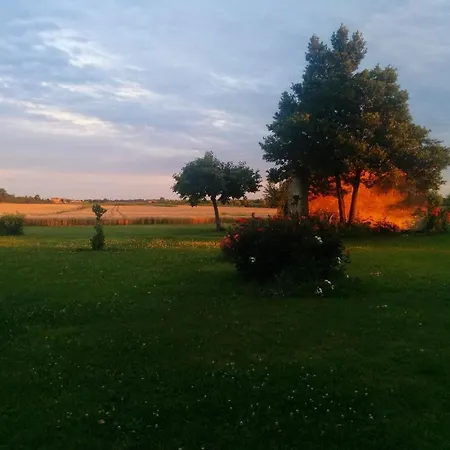 Antica Vigna Bed & Breakfast