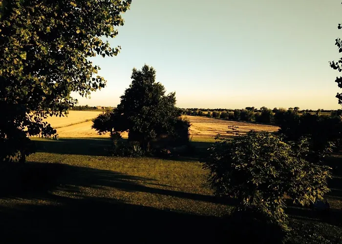 Antica Vigna 3* كيودجا