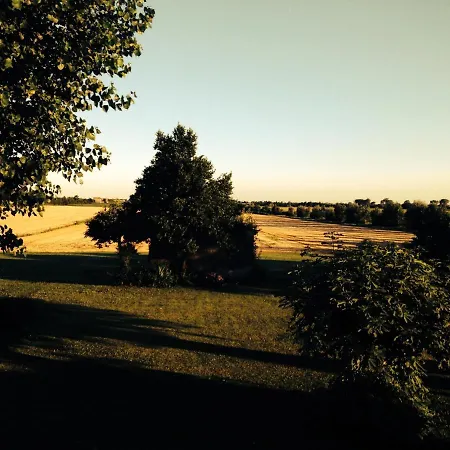 Antica Vigna 3* קיוג'ה