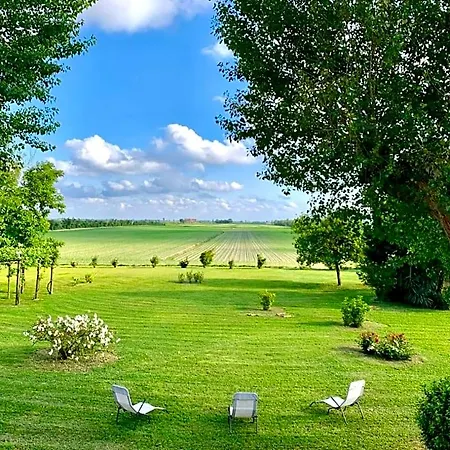 Antica Vigna 3*