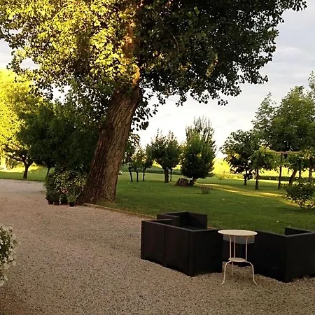 Antica Vigna
