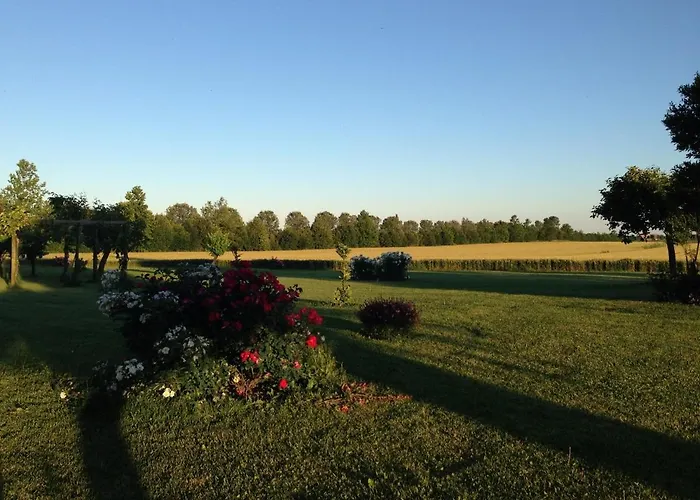 Antica Vigna Bed and Breakfast