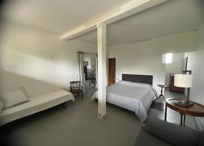 Antica Vigna Bed and Breakfast